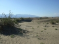 Death Valley